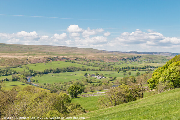 Spring Morning in Upper Teesdale (2) Picture Board by Richard Laidler