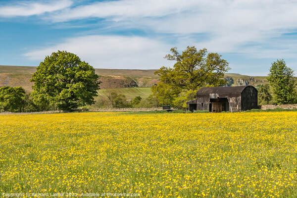 Buttercup Meadow at Newbiggin, Teesdale  Picture Board by Richard Laidler