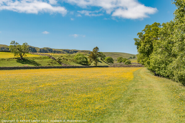 The Pennine Way near Holwick, Teesdale in Spring Picture Board by Richard Laidler