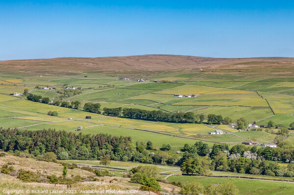 Ettersgill from Holwick Fell, Teesdale Picture Board by Richard Laidler
