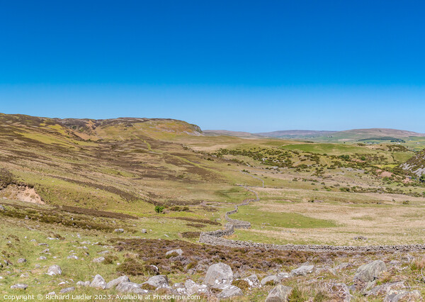Green Trod to Cronkley Teesdale Panorama Picture Board by Richard Laidler