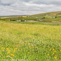 Buy canvas prints of Hay Meadow at Marshes Gill, Harwood, Teesdale by Richard Laidler