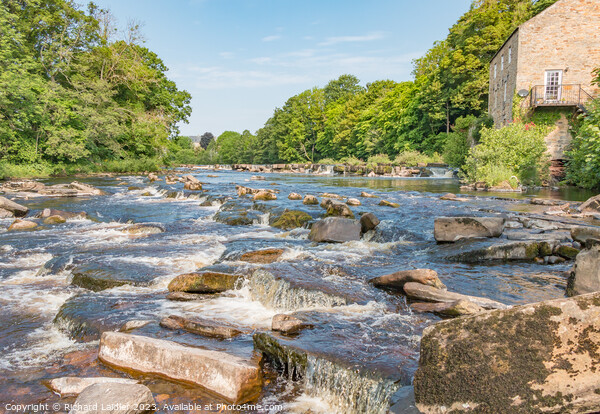 The River Tees at Demesnes Mill, Barnard Castle Picture Board by Richard Laidler