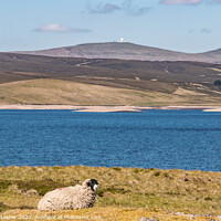Buy canvas prints of Cow Green Reservoir and Great Dun Fell (2) by Richard Laidler