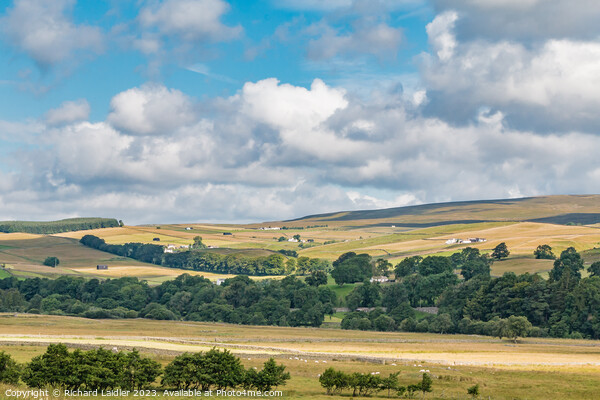 Summer Morning in Ettersgill from Holwick, Teesdale Picture Board by Richard Laidler