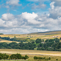 Buy canvas prints of Summer Morning in Ettersgill from Holwick, Teesdale by Richard Laidler