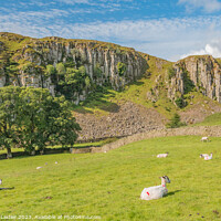 Buy canvas prints of Summer Morning at Holwick Scar, Teesdale by Richard Laidler