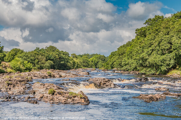 Summer Morning on the River Tees near Bowlees Picture Board by Richard Laidler