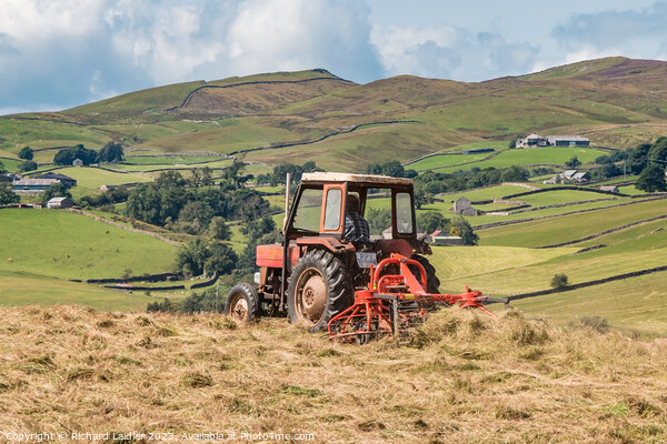 Hay Making in Lunedale Picture Board by Richard Laidler