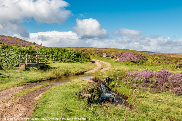 Summer Morning on Barningham Moor Picture Board by Richard Laidler