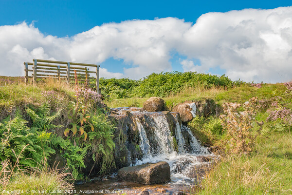 Barningham Moor Waterfall  Picture Board by Richard Laidler