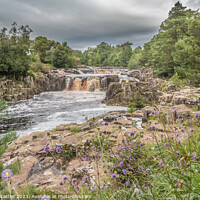 Buy canvas prints of A Damp Day at Low Force Waterfall in Late Summer by Richard Laidler
