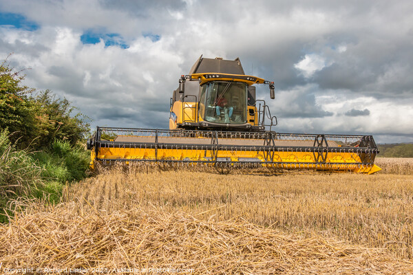 Wheat Harvest at Wycliffe Aug 2023 (1) Picture Board by Richard Laidler