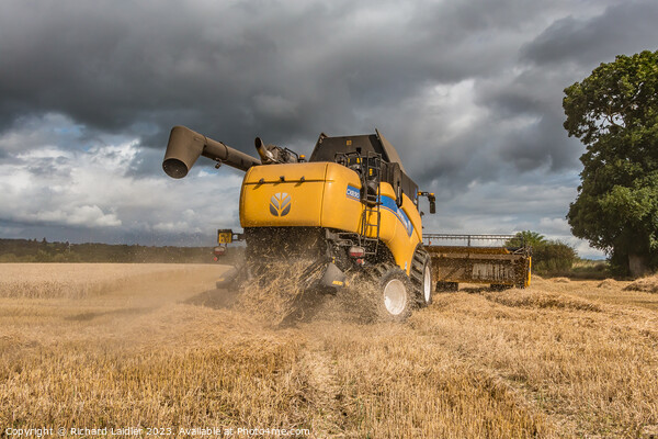Wheat Harvest at Wycliffe Aug 2023 (3) Picture Board by Richard Laidler