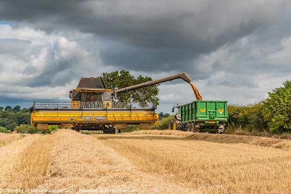 Wheat Harvest at Wycliffe Aug 2023 (4) Picture Board by Richard Laidler