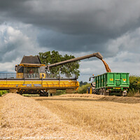 Buy canvas prints of Wheat Harvest at Wycliffe Aug 2023 (4) by Richard Laidler