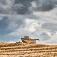 Buy canvas prints of Wheat Harvest at Wycliffe Aug 2023 (5) by Richard Laidler