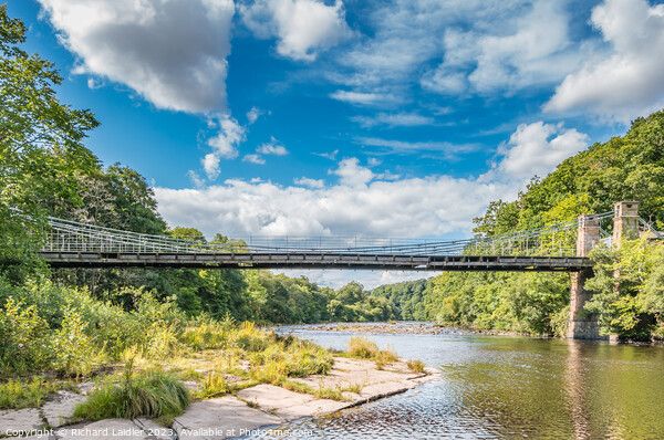 Whorlton Bridge, Teesdale from Downstream Picture Board by Richard Laidler