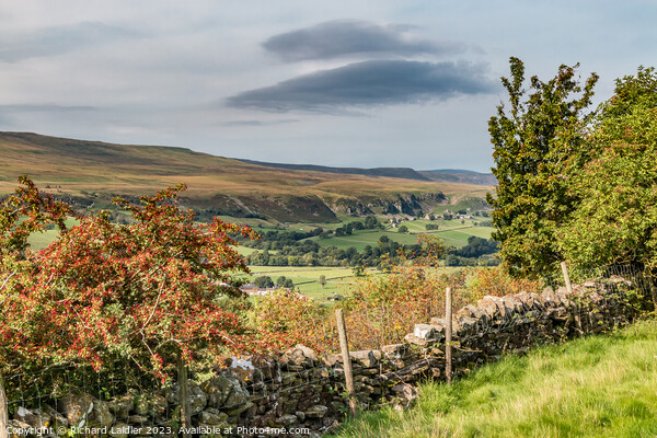 A Touch of Autumn on Middle Side, Teesdale Picture Board by Richard Laidler