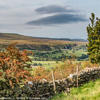 Buy canvas prints of A Touch of Autumn on Middle Side, Teesdale by Richard Laidler