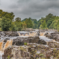 Buy canvas prints of A Damp Autumn Morning at Low Force Waterfall by Richard Laidler