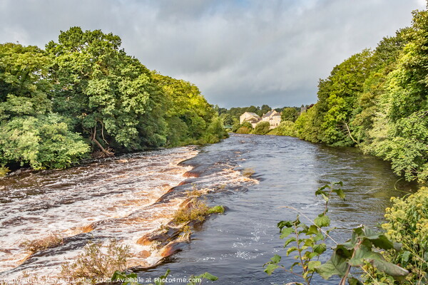 Bright Patch on the Tees at Demesnes Mill, Barnard Castle Picture Board by Richard Laidler