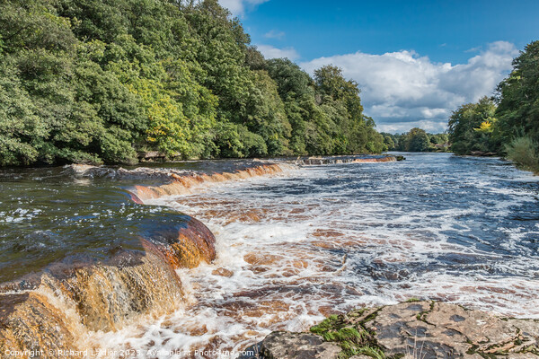 The River Tees at Whorlton, Teesdale Picture Board by Richard Laidler