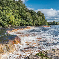 Buy canvas prints of The River Tees at Whorlton, Teesdale by Richard Laidler