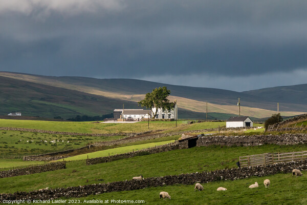 Spotlight on New House, Teesdale Picture Board by Richard Laidler