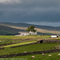 Buy canvas prints of Spotlight on New House, Teesdale by Richard Laidler