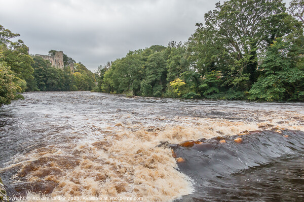 Swollen River Tees at Barney Weir Picture Board by Richard Laidler