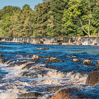 Buy canvas prints of The River Tees at Demesnes Mill, Barnard Castle by Richard Laidler