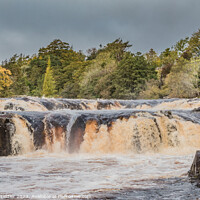 Buy canvas prints of Low Force Waterfall in Spate after Storm Babet October 2023 by Richard Laidler
