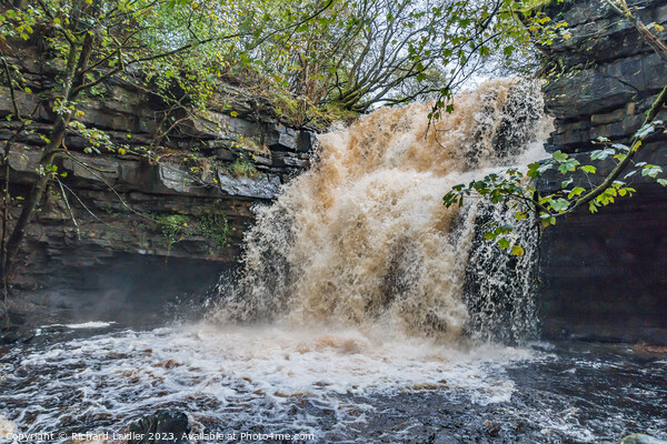 Summerhill Force Waterfall in Spate after Storm Babet Oct 2023 Picture Board by Richard Laidler