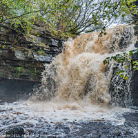 Buy canvas prints of Summerhill Force Waterfall in Spate after Storm Babet Oct 2023 by Richard Laidler