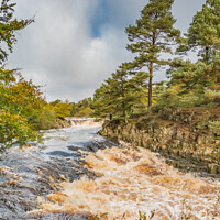 Buy canvas prints of Low Force Waterfall, Teesdale, from Wynch Bridge by Richard Laidler
