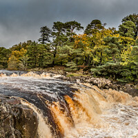 Buy canvas prints of Low Force Waterfall, Teesdale, from the Pennine Way by Richard Laidler