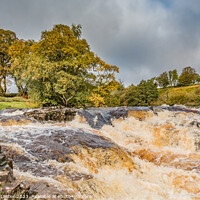 Buy canvas prints of Low Force Cascade, Teesdale by Richard Laidler