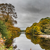 Buy canvas prints of Autumn Reflections at Wycliffe, Teesdale by Richard Laidler