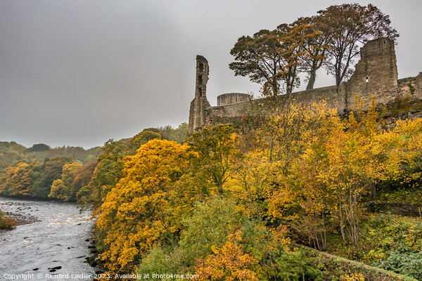 Autumn Colours at Barnard Castle, Teesdale Picture Board by Richard Laidler