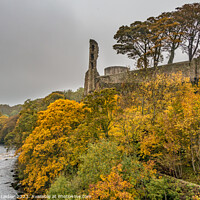 Buy canvas prints of Autumn Colours at Barnard Castle, Teesdale by Richard Laidler