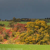 Buy canvas prints of Wycliffe Autumn Drama by Richard Laidler