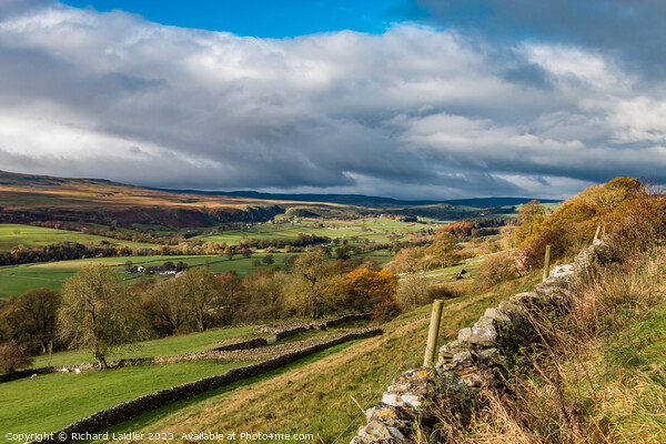 Towards Holwick, Teesdale from Middle Side in Autu Picture Board by Richard Laidler
