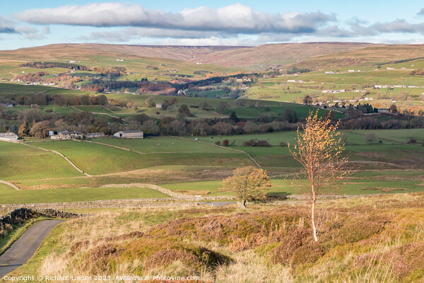 Towards the Hudes Hope from Harker Hill, Teesdale Picture Board by Richard Laidler