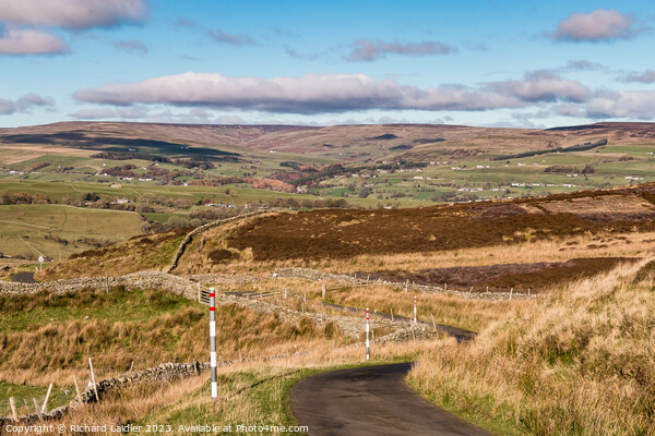 Into The Hudes Hope from Harker Hill, Teesdale Picture Board by Richard Laidler