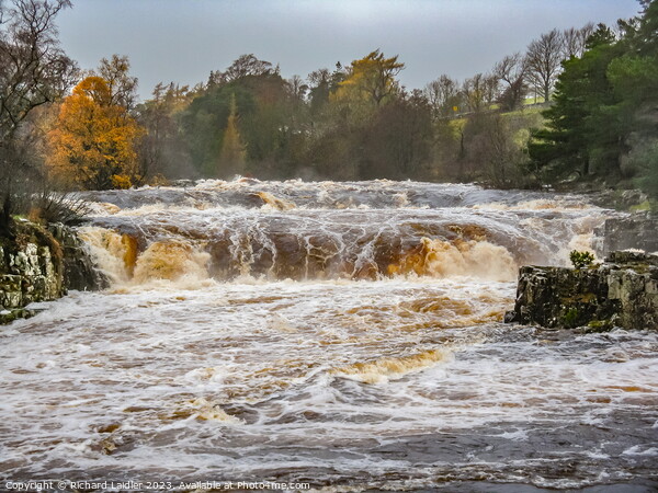 Low Force Waterfall in Full Flood after Storm Debi Nov 2023 Picture Board by Richard Laidler