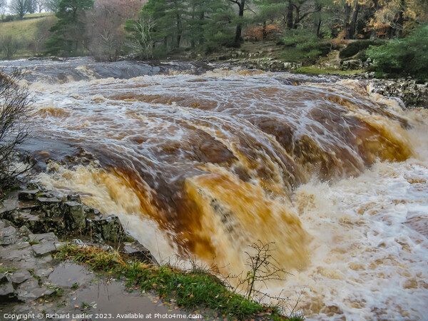 Low Force Waterfall, Teesdale, in full flood from the Pennine Way Picture Board by Richard Laidler