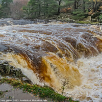 Buy canvas prints of Low Force Waterfall, Teesdale, in full flood from the Pennine Way by Richard Laidler