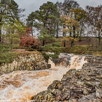 Buy canvas prints of Another Flood at Low Force Waterfall, Teesdale by Richard Laidler