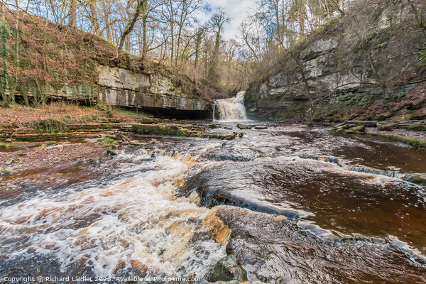 Cauldron Force Waterfall, Wensleydale (1) Picture Board by Richard Laidler